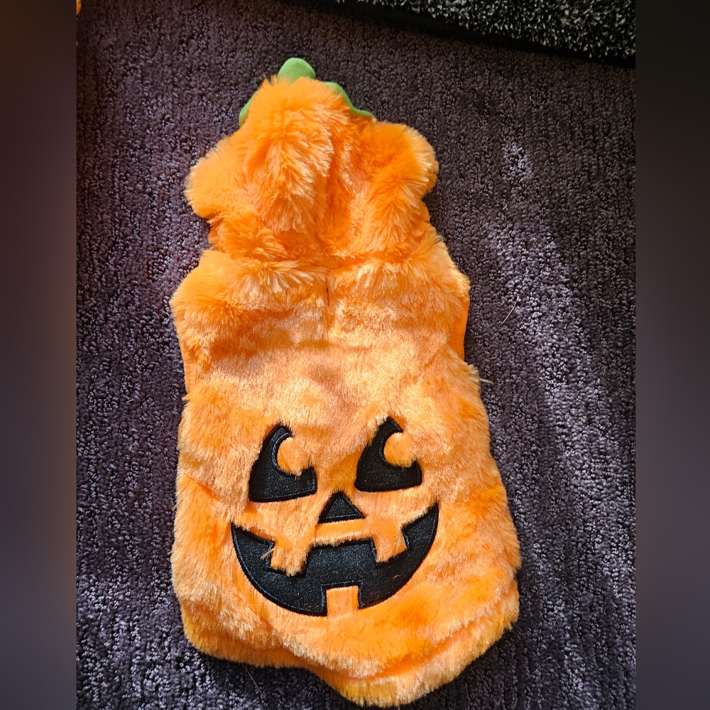 Dog Pumpkin Costume - Orange